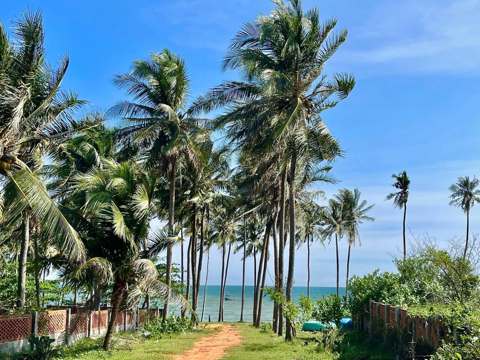 Moonbeam Homestay & Mini-Resort Mui Ne 潘切 外观 照片